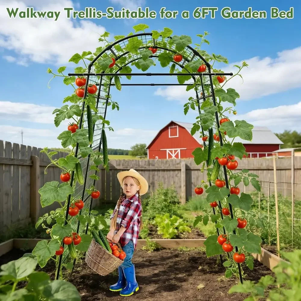 Sturdy Metal Garden Arch Trellis for Climbing Plants